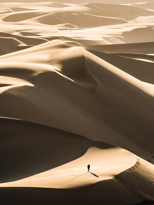 A desert with dunes