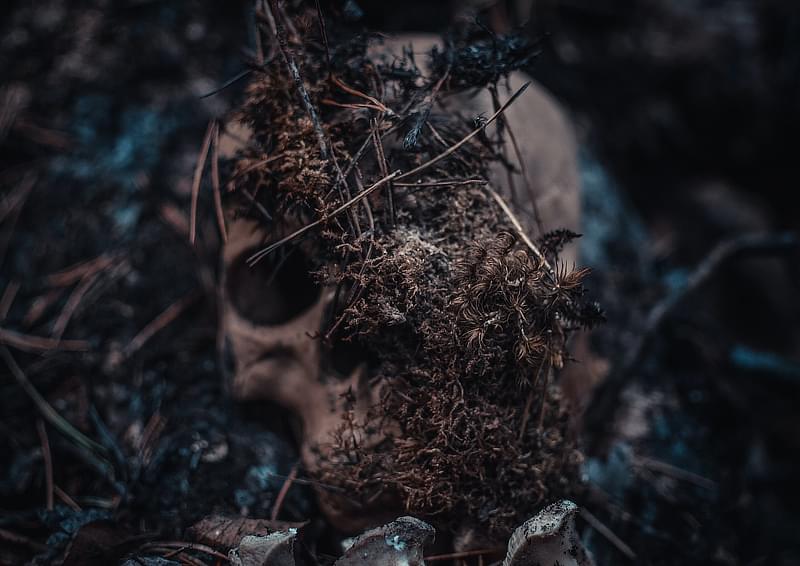A skull, covered in dirt
